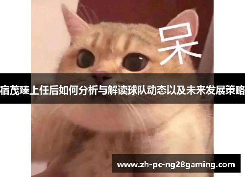 宿茂臻上任后如何分析与解读球队动态以及未来发展策略