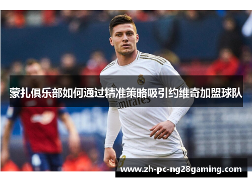 蒙扎俱乐部如何通过精准策略吸引约维奇加盟球队