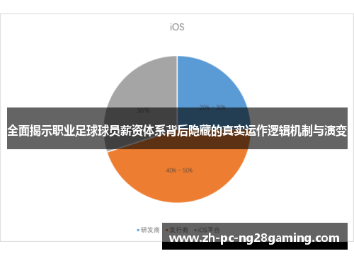 全面揭示职业足球球员薪资体系背后隐藏的真实运作逻辑机制与演变