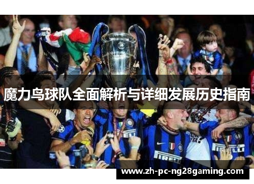魔力鸟球队全面解析与详细发展历史指南